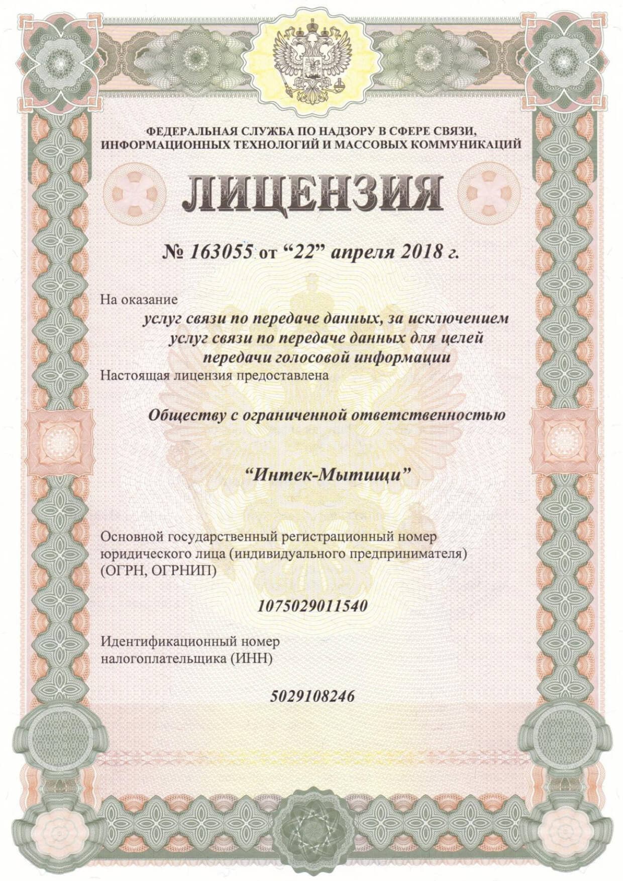 Лицензия 163055